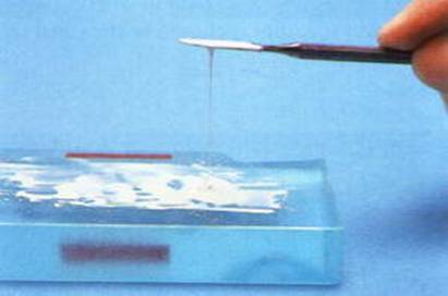 паста для пломбирования каналов